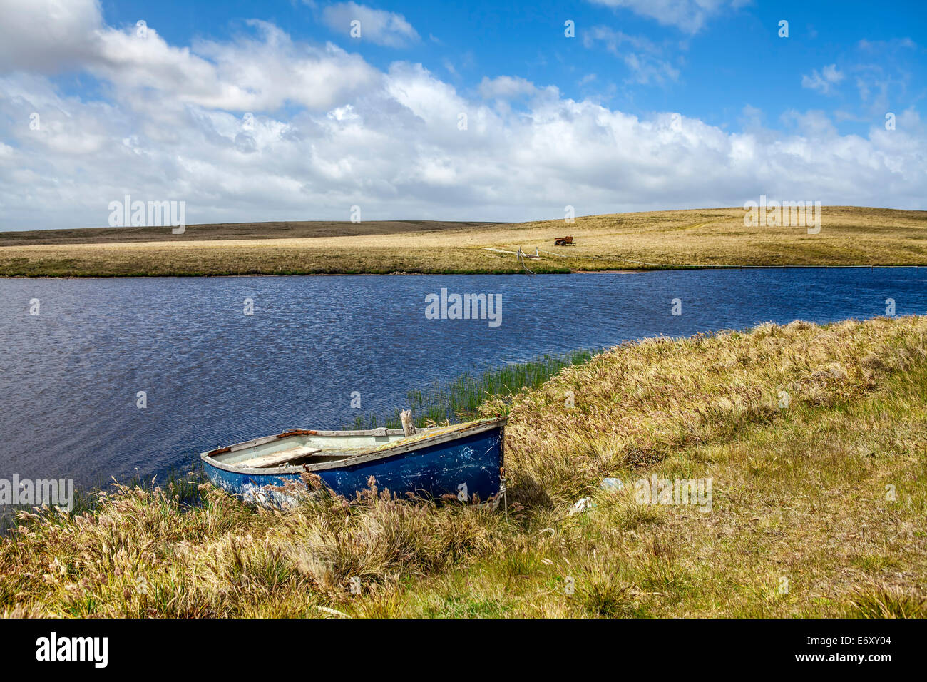 North Pond, Nordküste von Ost-Falkland-Landschaft Stockfoto