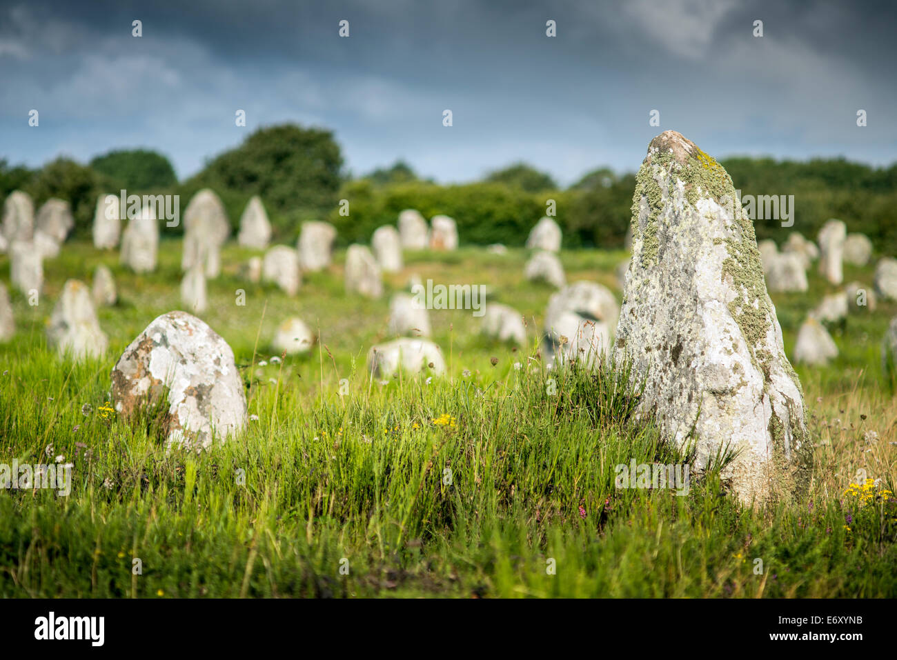 Standing Stones in Carnac, Bretagne, Frankreich. Megalith Wahrzeichen Stockfoto