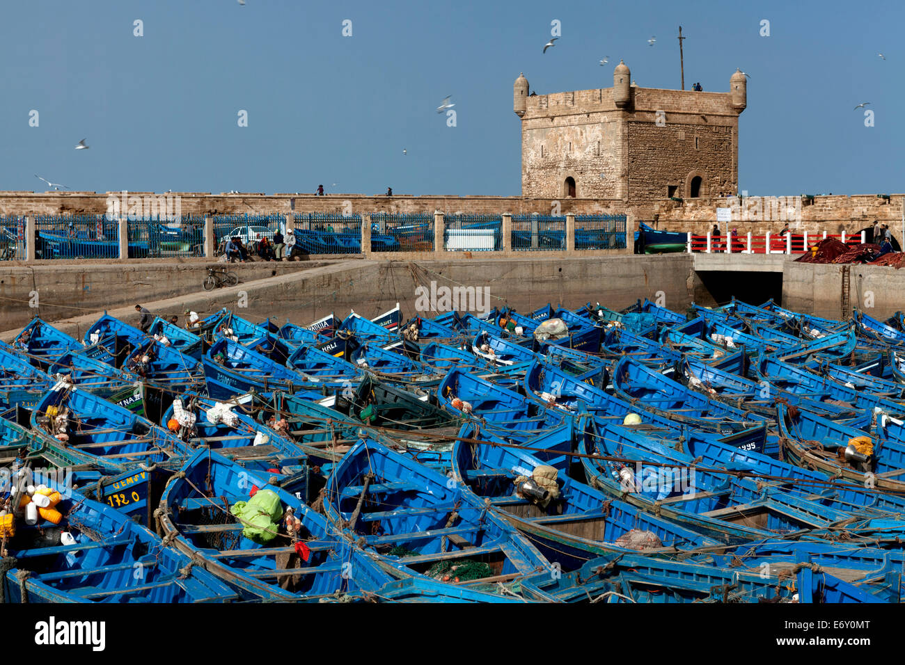 Angelboote/Fischerboote in der Marina und die alte portugiesische Zitadelle, Essaouira, Marokko Stockfoto