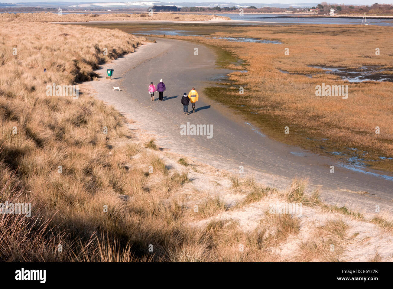 West Witterings Strand und Natur behalten Dünengebieten Gras wächst im Vordergrund, Männlichkeit Halbinsel, West sussex Stockfoto