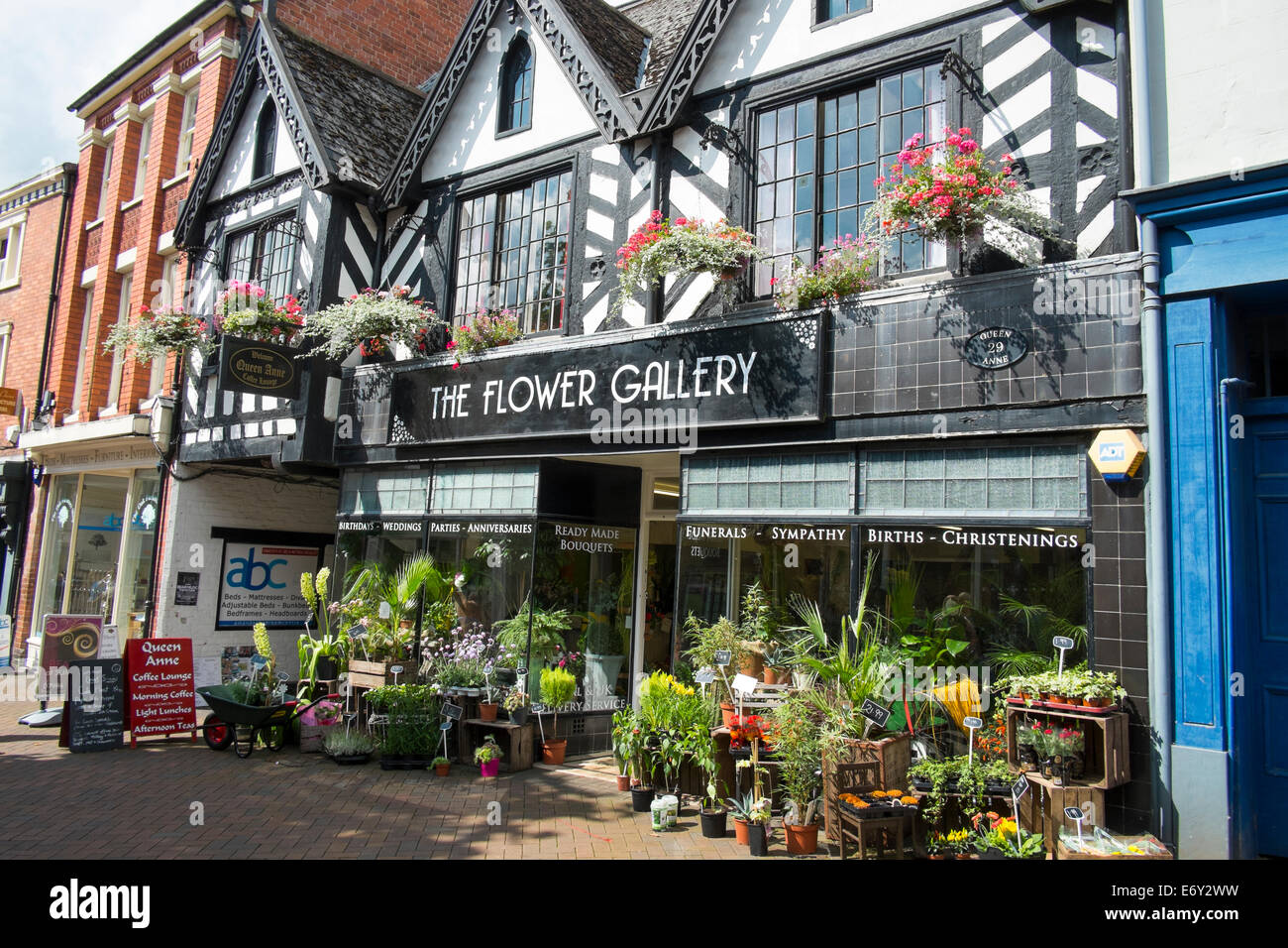 Die Blume Galerie Shpo in Oswestry, Shropshire, England. Stockfoto