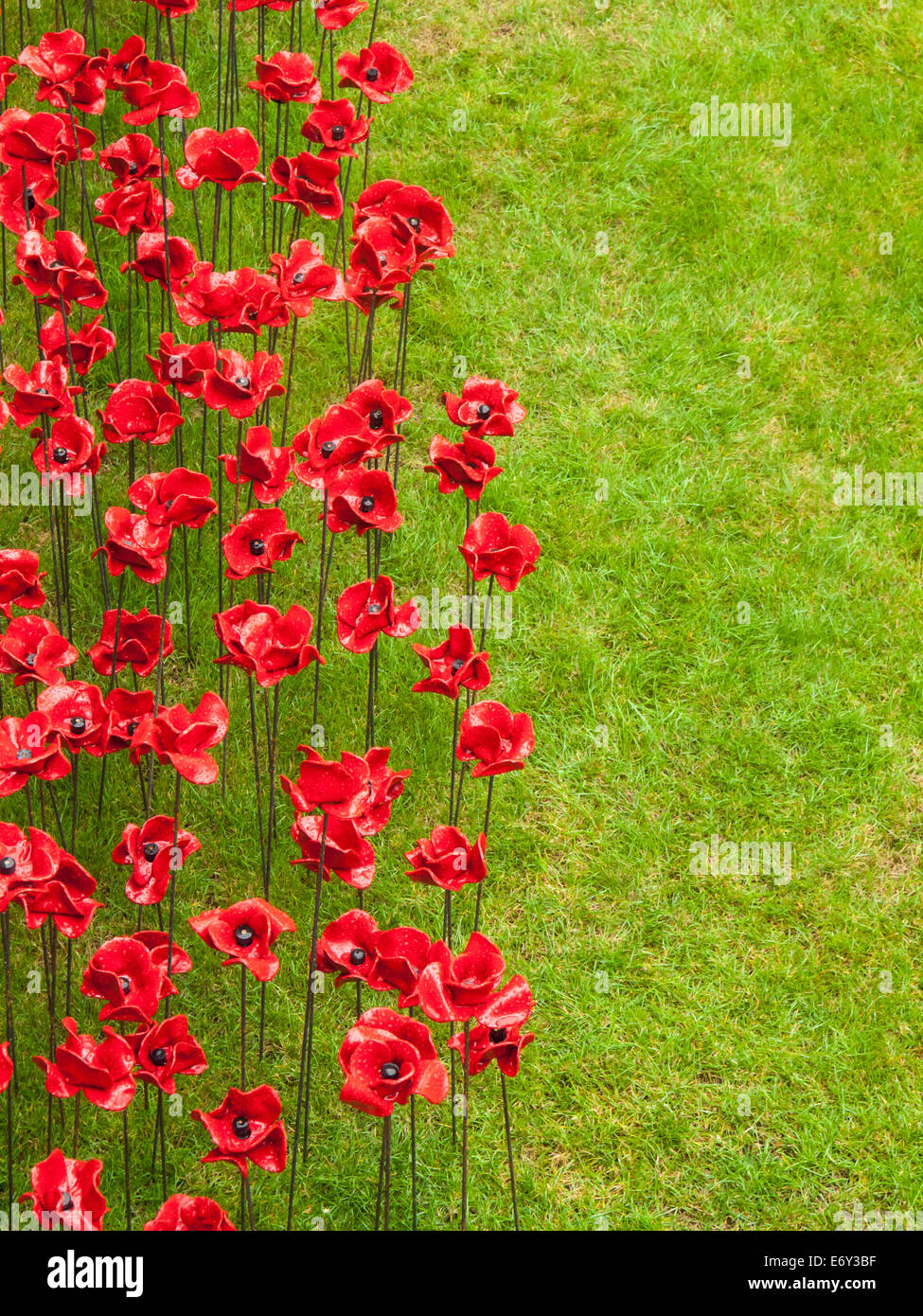 Detail der Keramik Mohnblumen-Ausstellung auf dem Tower of London bei starkem Regen. Die Installation von Keramik-Künstler Paul Cummins Stockfoto