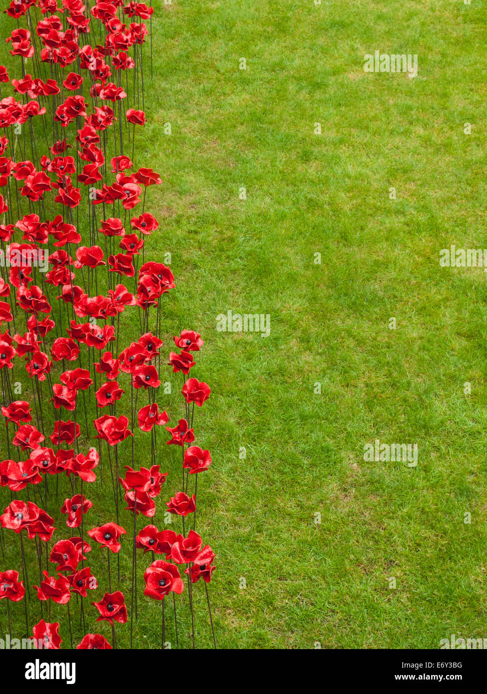 Detail der Keramik Mohnblumen-Ausstellung auf dem Tower of London bei starkem Regen. Die Installation von Keramik-Künstler Paul Cummins Stockfoto
