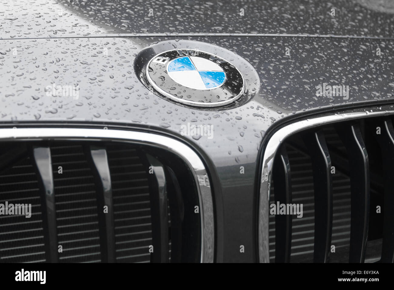 München, Deutschland - 9. August 2014: BMW Logo auf nassem Untergrund der Haube des neuen Modells Elite deluxe Auto. Stockfoto