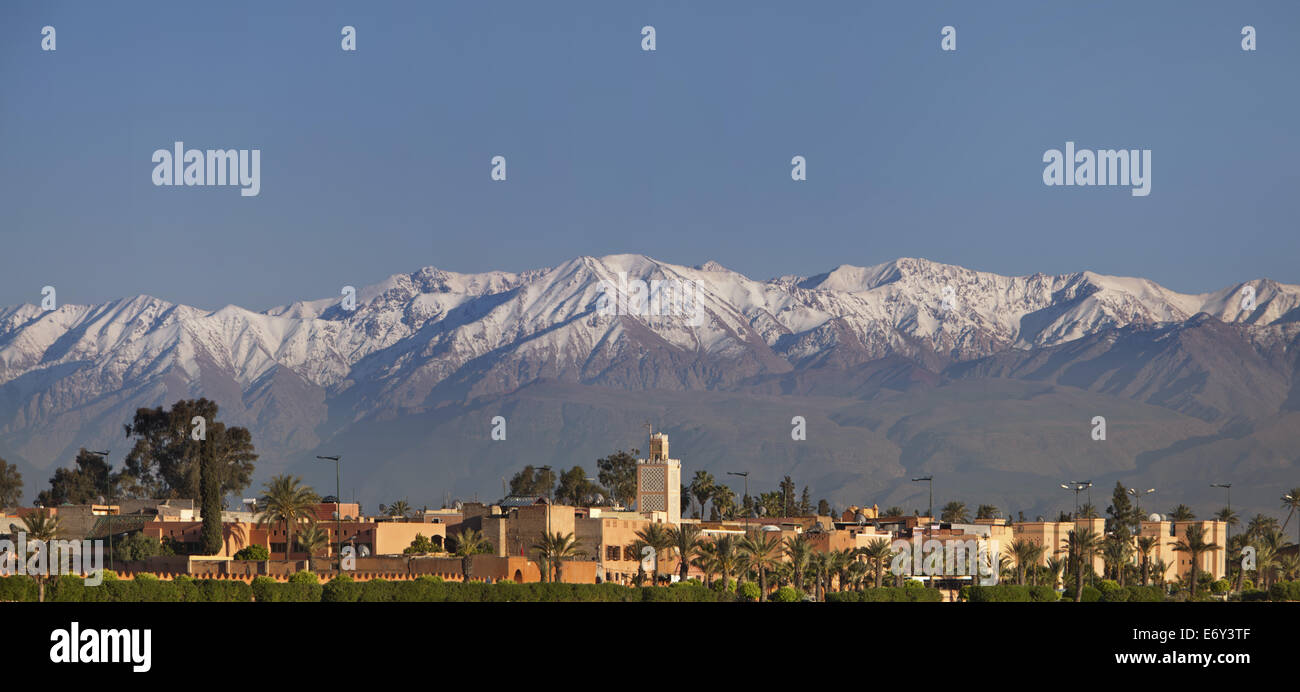 Im Süden von Marrakesch vor dem Hintergrund des Atlas-Gebirges, Marrakesch, Marokko Stockfoto