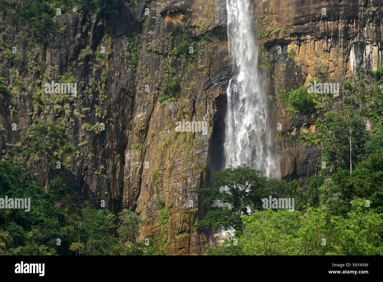 Diyaluma Wasserfälle zwischen Wellawaya und Haputale, UVA Provinz, Südrand des Hochlandes, Sri Lanka, Süd-Asien Stockfoto
