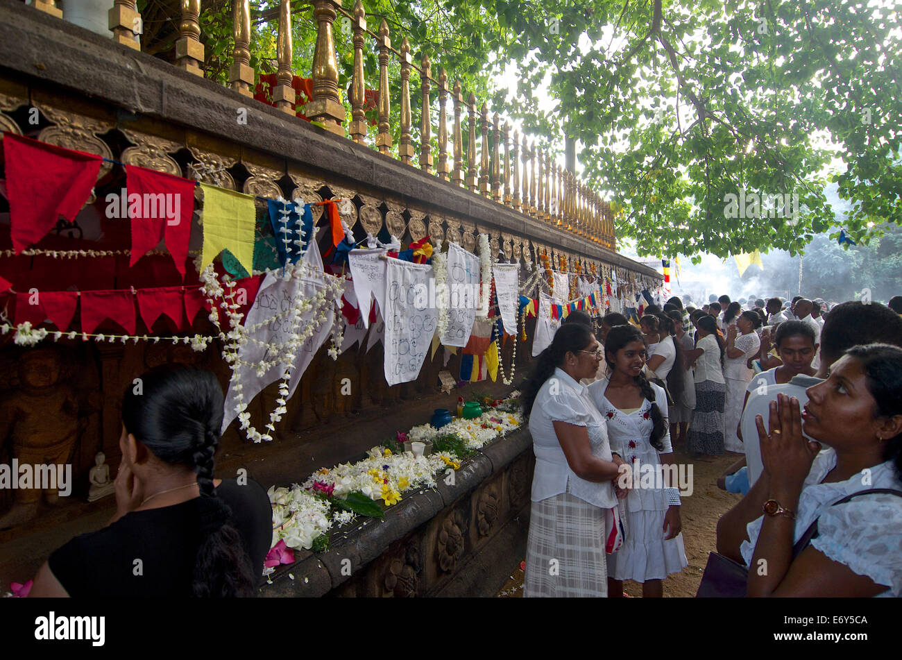 Besucher im Goya (Tag des Vollmondes) an das erlernte Raja Maha Vihara, buddhistische Tempel, Colombo, Sri Lanka, Südasien Stockfoto