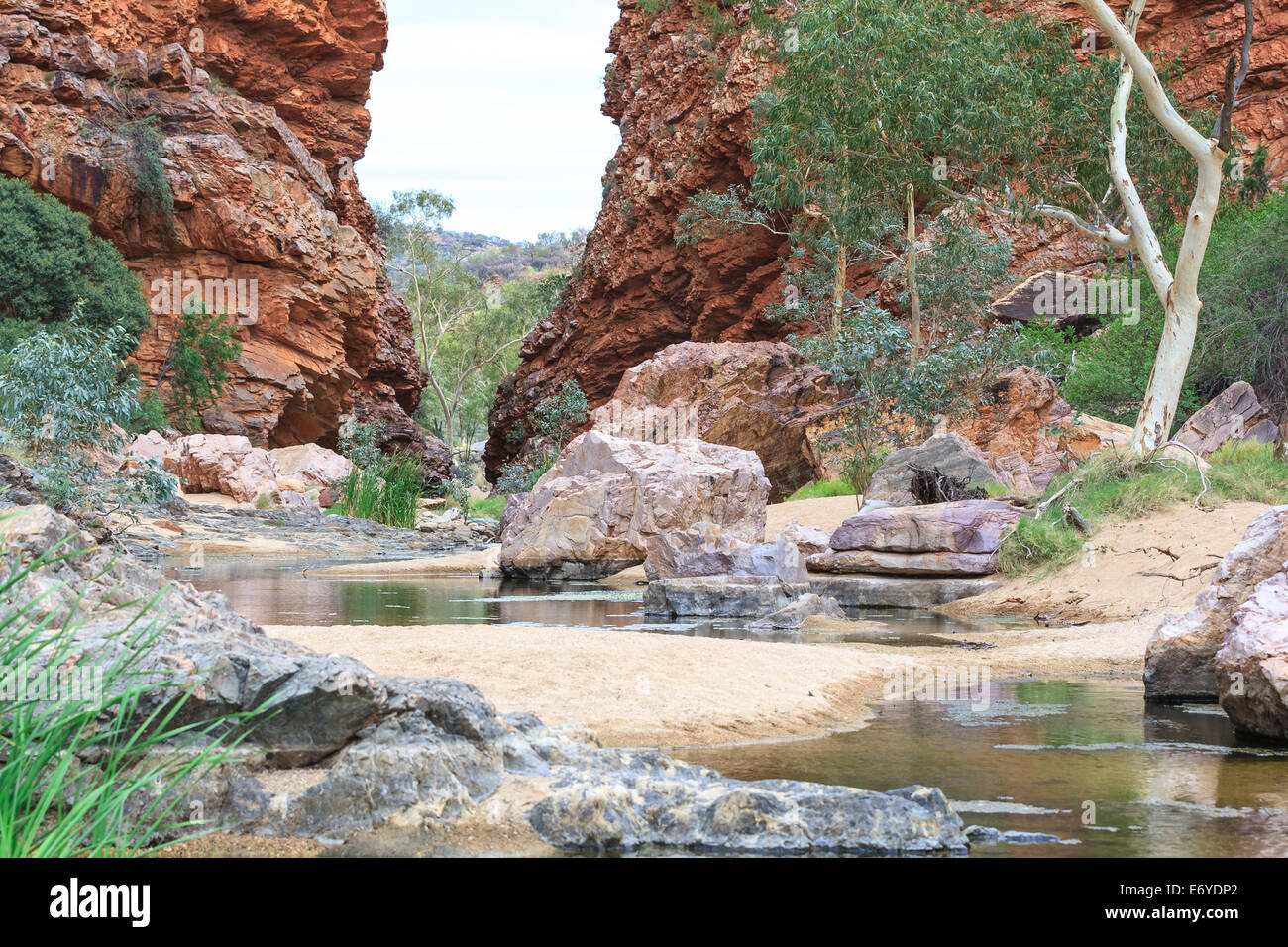 Eine teilweise Dry Creek mit sandigen Ufer mit Bäumen und Sträuchern fließt durch eine schmale Schlucht der roten Felsen, Simpsons Gap Stockfoto