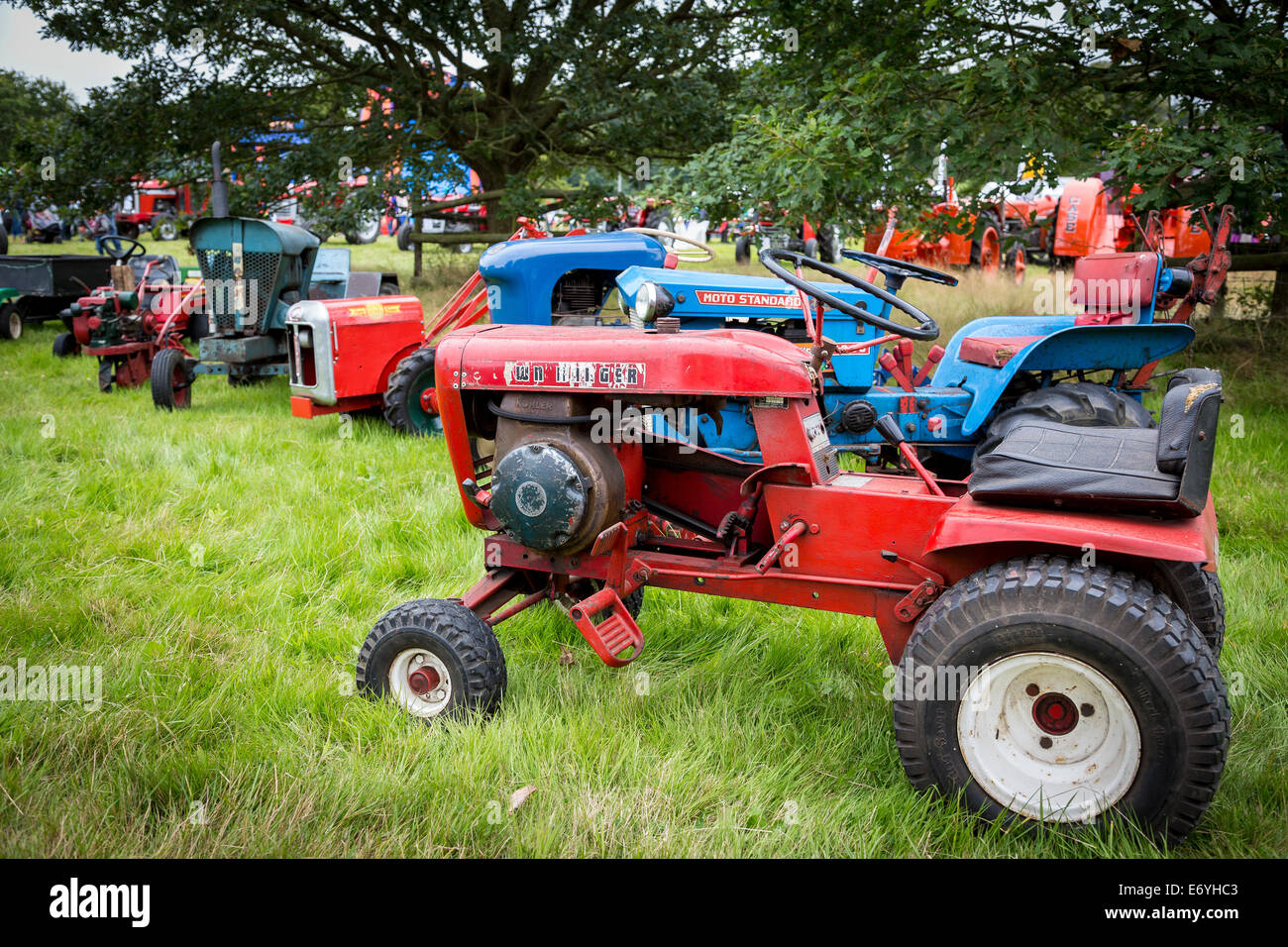 Kleinere Größe Traktoren aller Altersgruppen auf dem Display an der 2014 Aylsham Agricultural Show, Norfolk, Großbritannien. Stockfoto