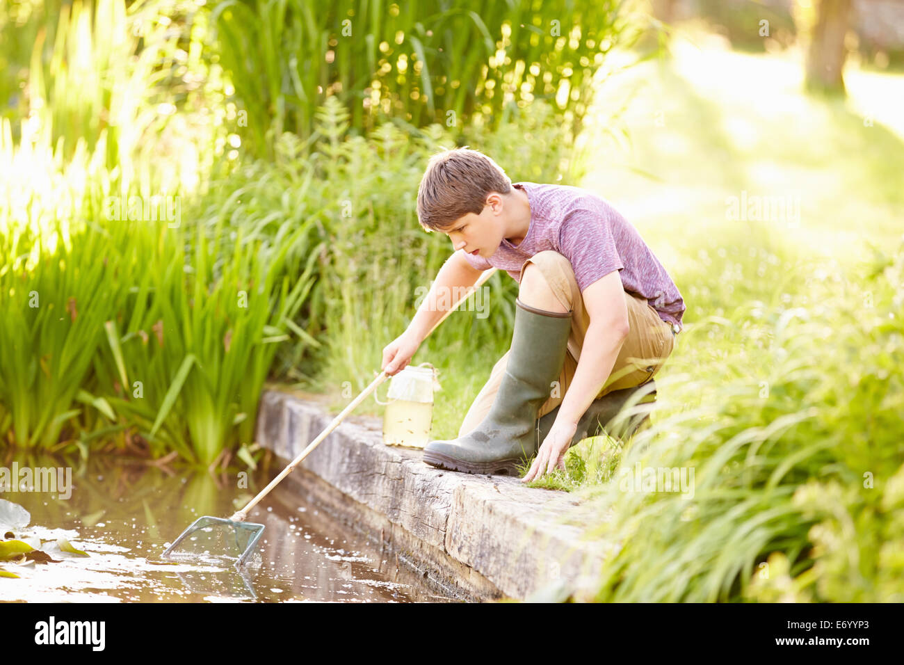 Jungen Fischen im Teich mit Netz und Glas Stockfoto