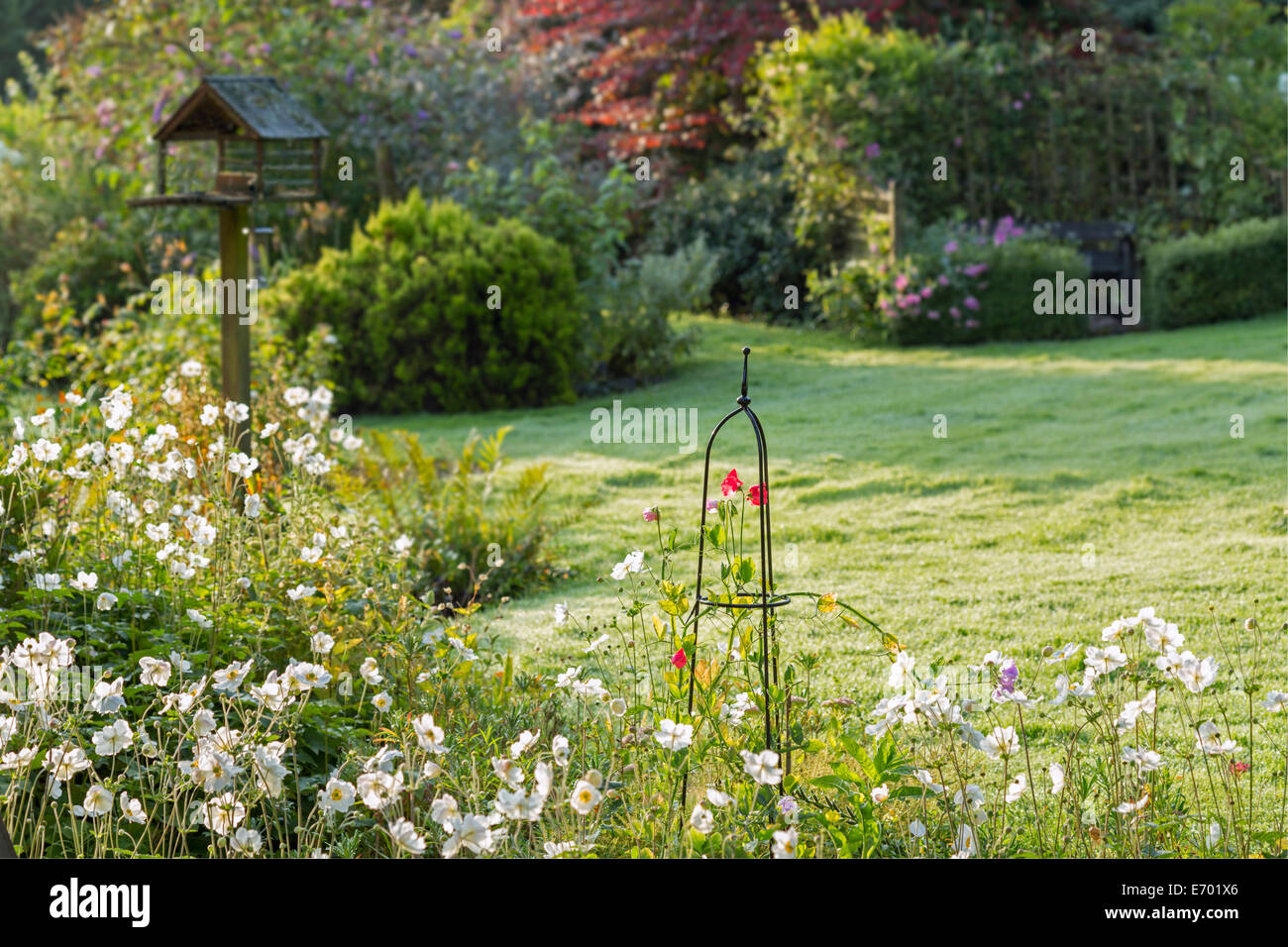 Sweet Pea Blumen klettert ein Stahl Obelisk. Stockfoto