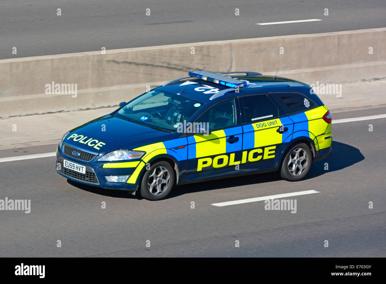 Nahaufnahme Essex Police Ford Auto Hund Einheit Notruf Reisen schnell auf blauen Ampeln entlang Spur vier Autobahn M25 Essex England GB Stockfoto