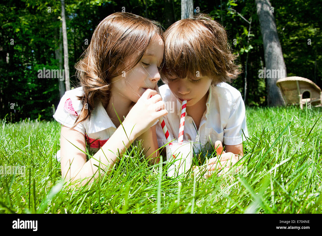 Bruder und Schwester im Wald teilen einen Milchshake Stockfoto