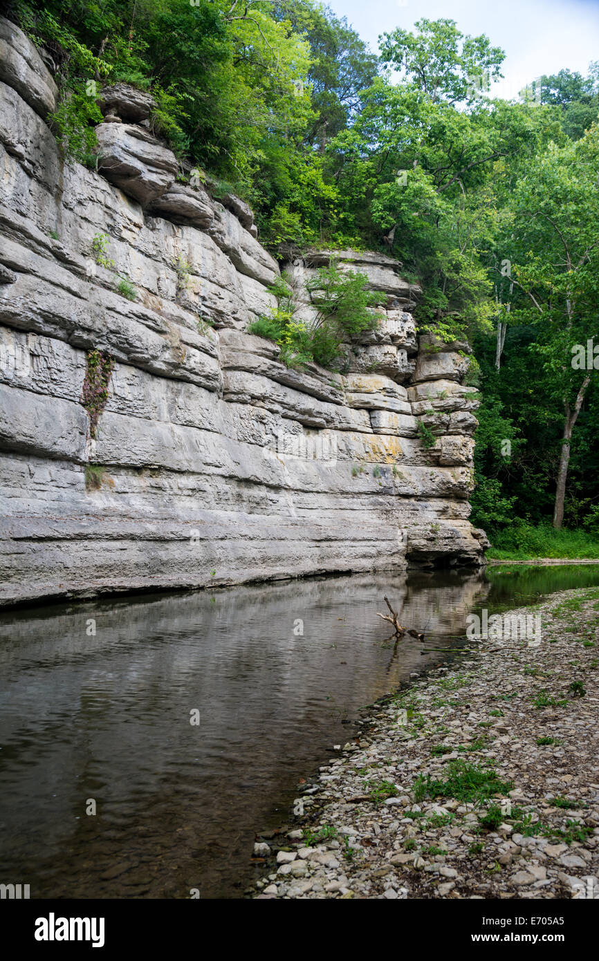 Fluss-Palisaden in Kentucky Stockfoto