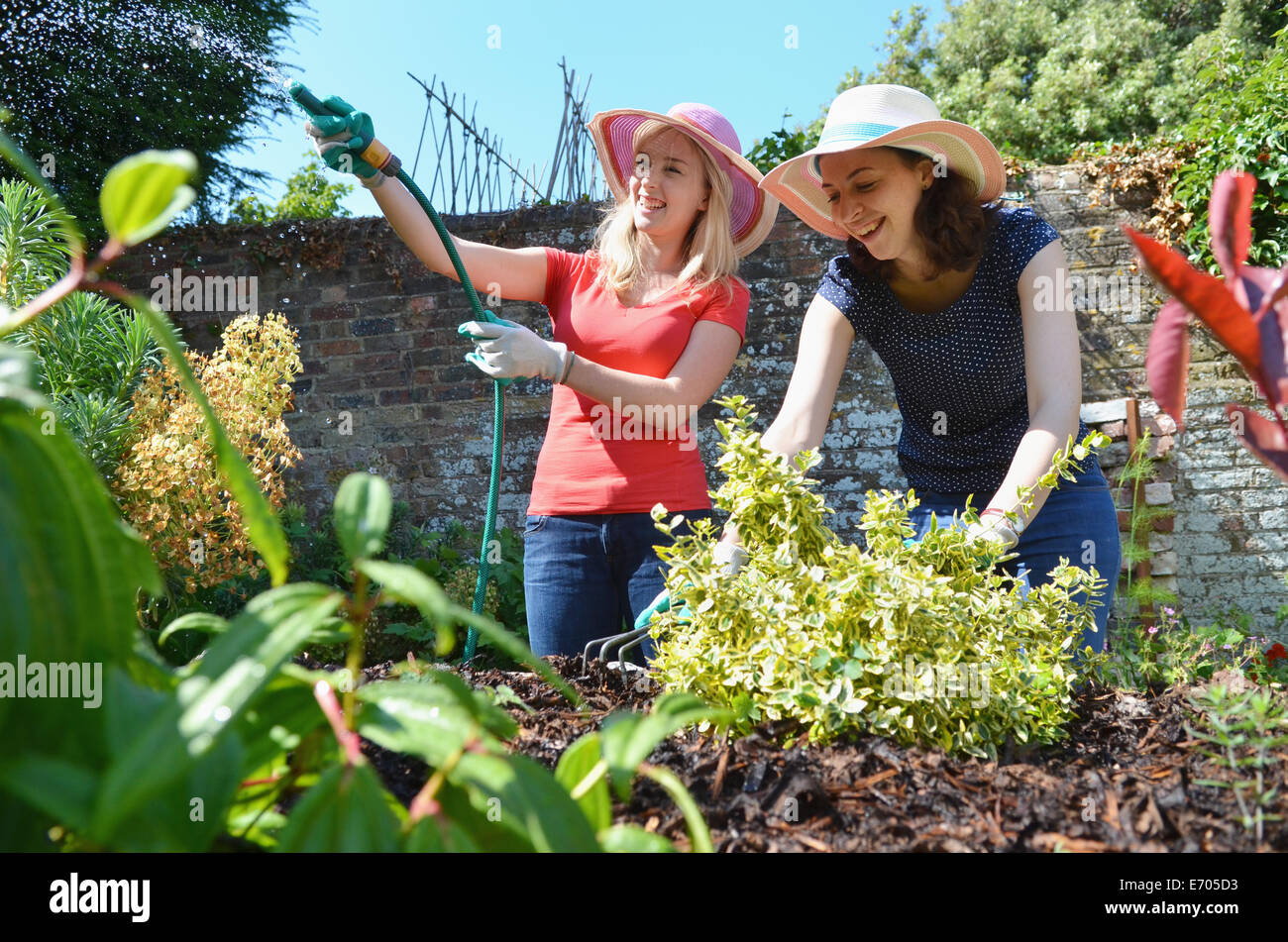 Junge Frauen, die Gartenbewässerung mit Schlauch Stockfoto