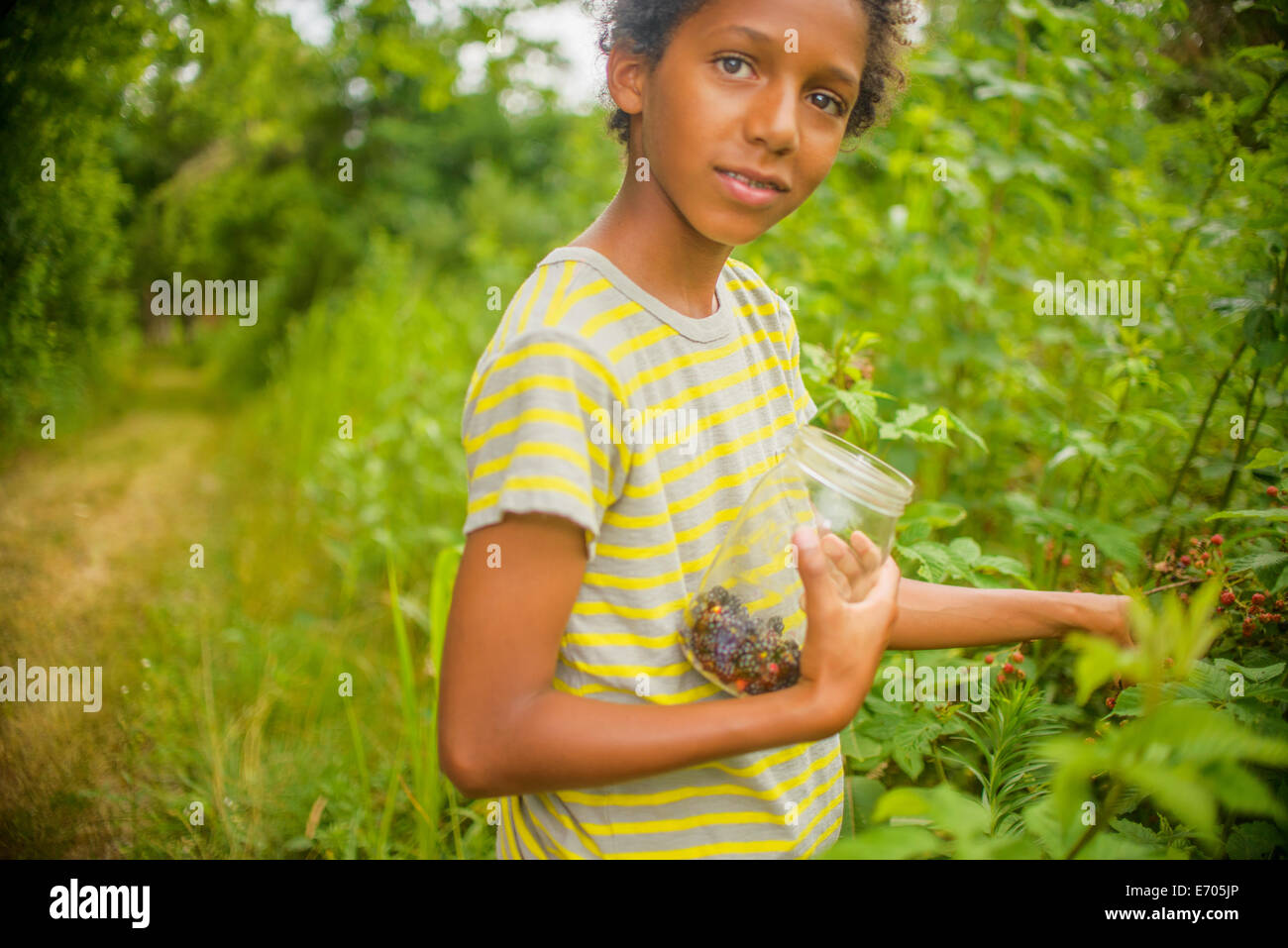 Junge Beeren pflücken Stockfoto