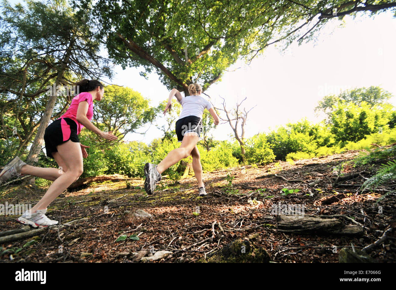 Zwei junge Frauen Läufer läuft bis Waldweg Stockfoto