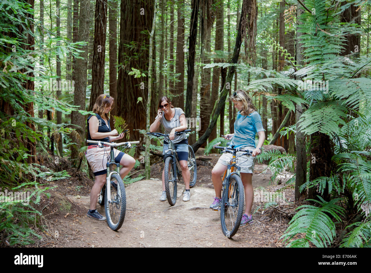 Drei Mitte Erwachsenfrauen Mountainbiker mit Smartphones im Wald Stockfoto