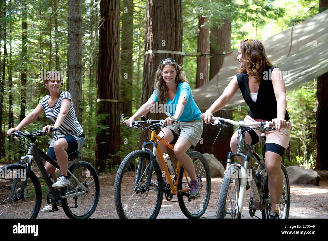 Drei Frauen Mountainbiker Radfahren im Wald Stockfoto
