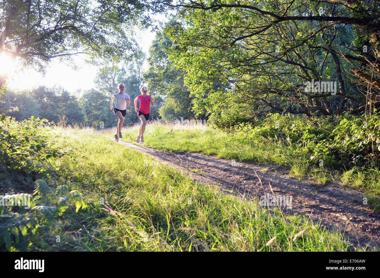 Zwei junge Frauen Läufer entlang Wald zu verfolgen, morgen Stockfoto