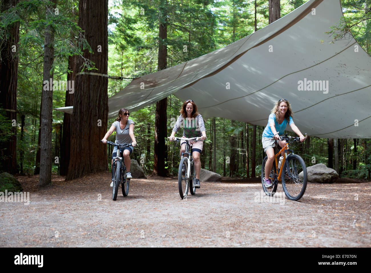 Drei Frauen Mountainbiker Radfahren durch Wald Stockfoto