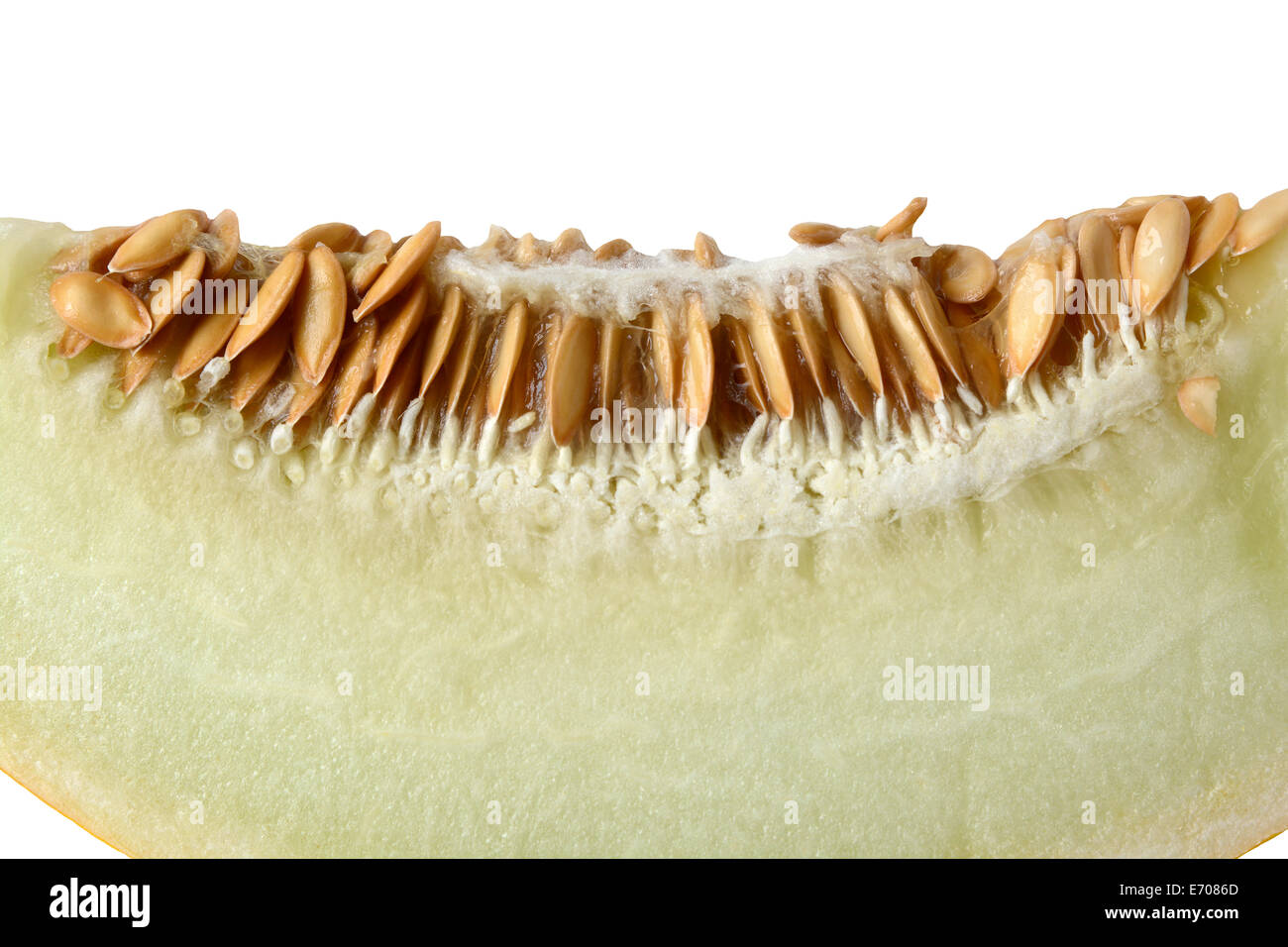 Honigmelone-Segment auf weißem Hintergrund Stockfoto