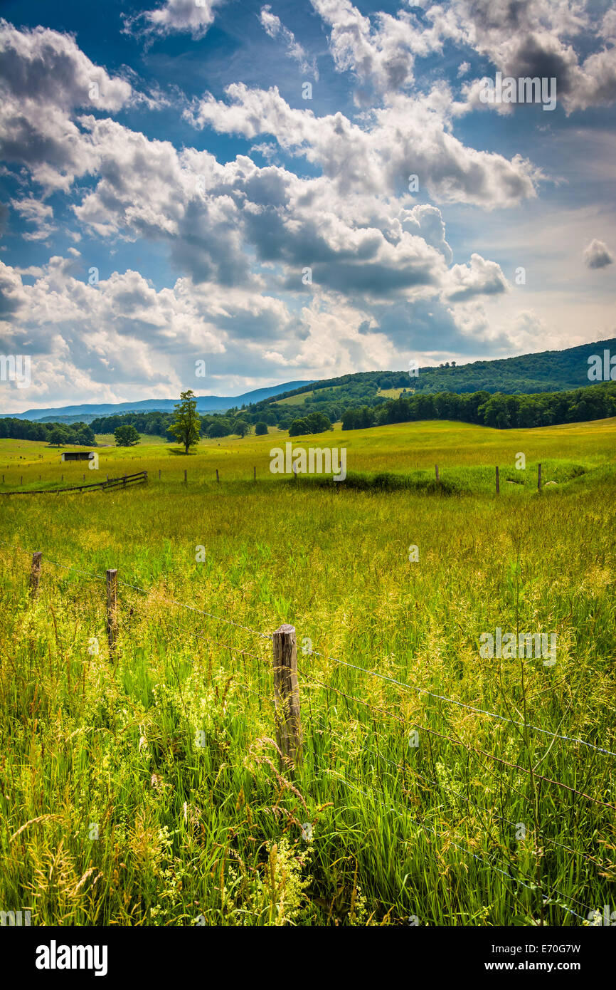 Ackerflächen im ländlichen Potomac Hochland von West Virginia. Stockfoto