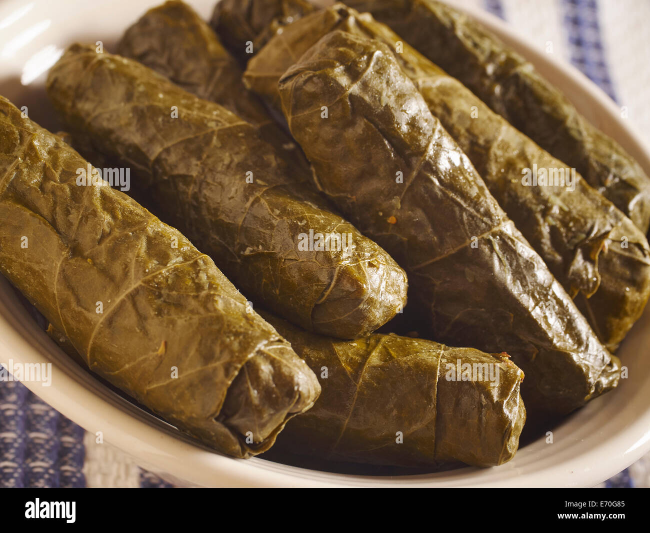 gefüllte Weinblätter Stockfoto