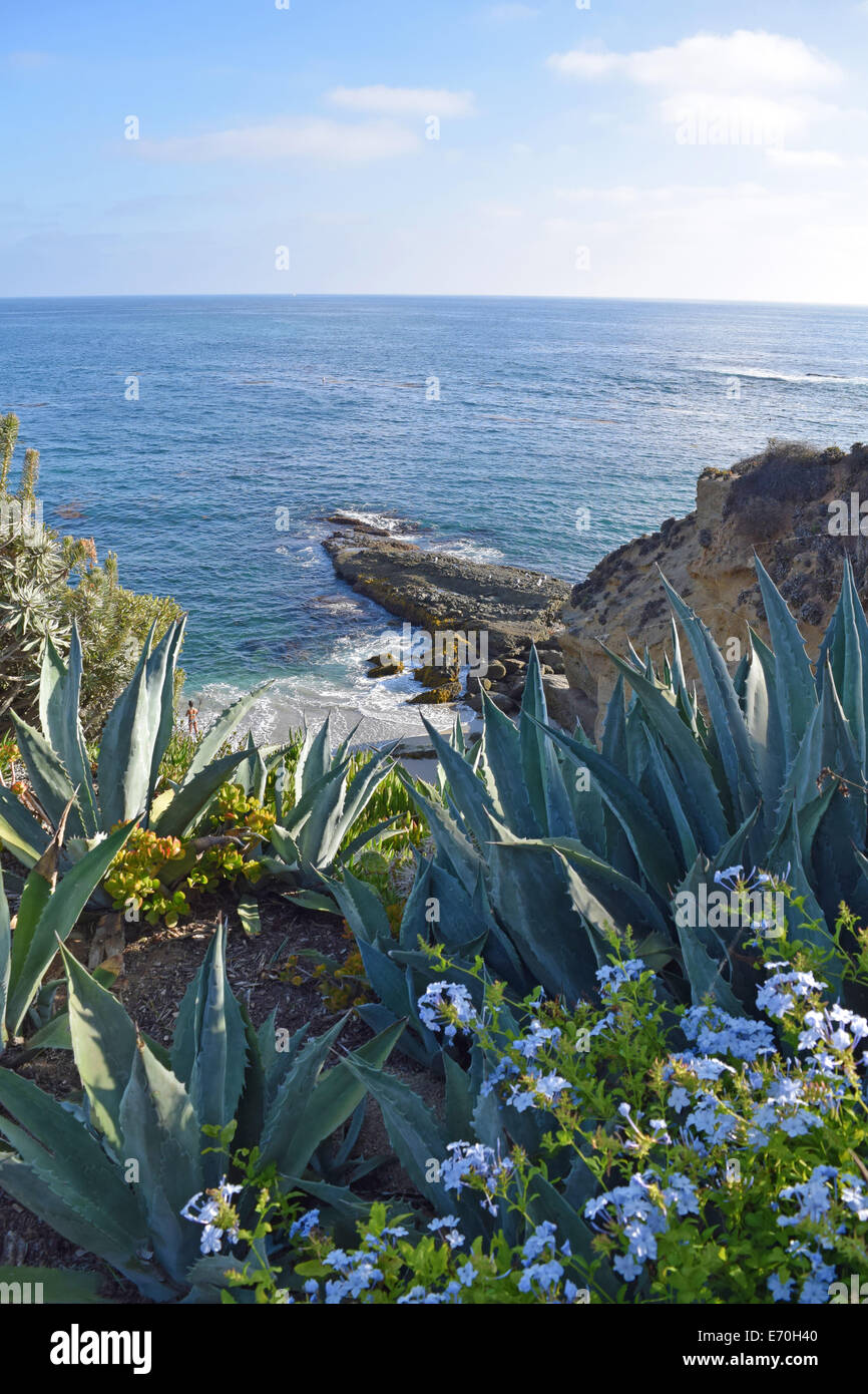 Laguna Beach Küste & Gärten Stockfoto