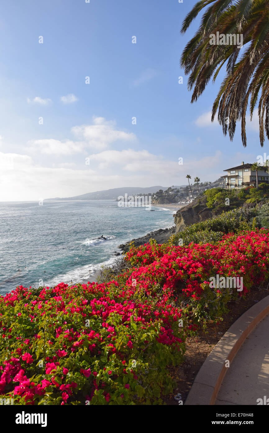 Laguna Beach Küste & Gärten Stockfoto