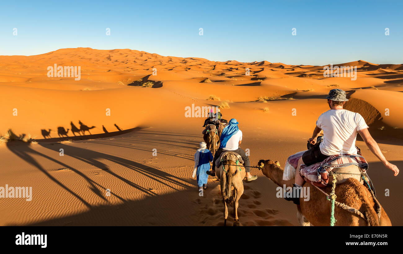 Dromedar Reiten in Erg Chebbi Wüste, Merzouga, Marokko, Afrika Stockfoto