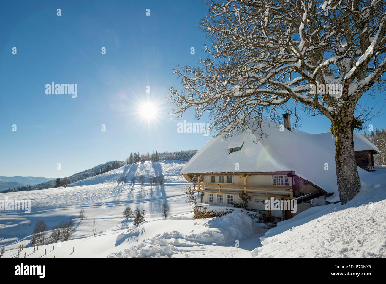 Altes Schwarzwaldhaus und tief verschneiten Landschaft, Muggenbrunn, Todtnau, Schwarzwald, Baden-Württemberg, Deutschland Stockfoto