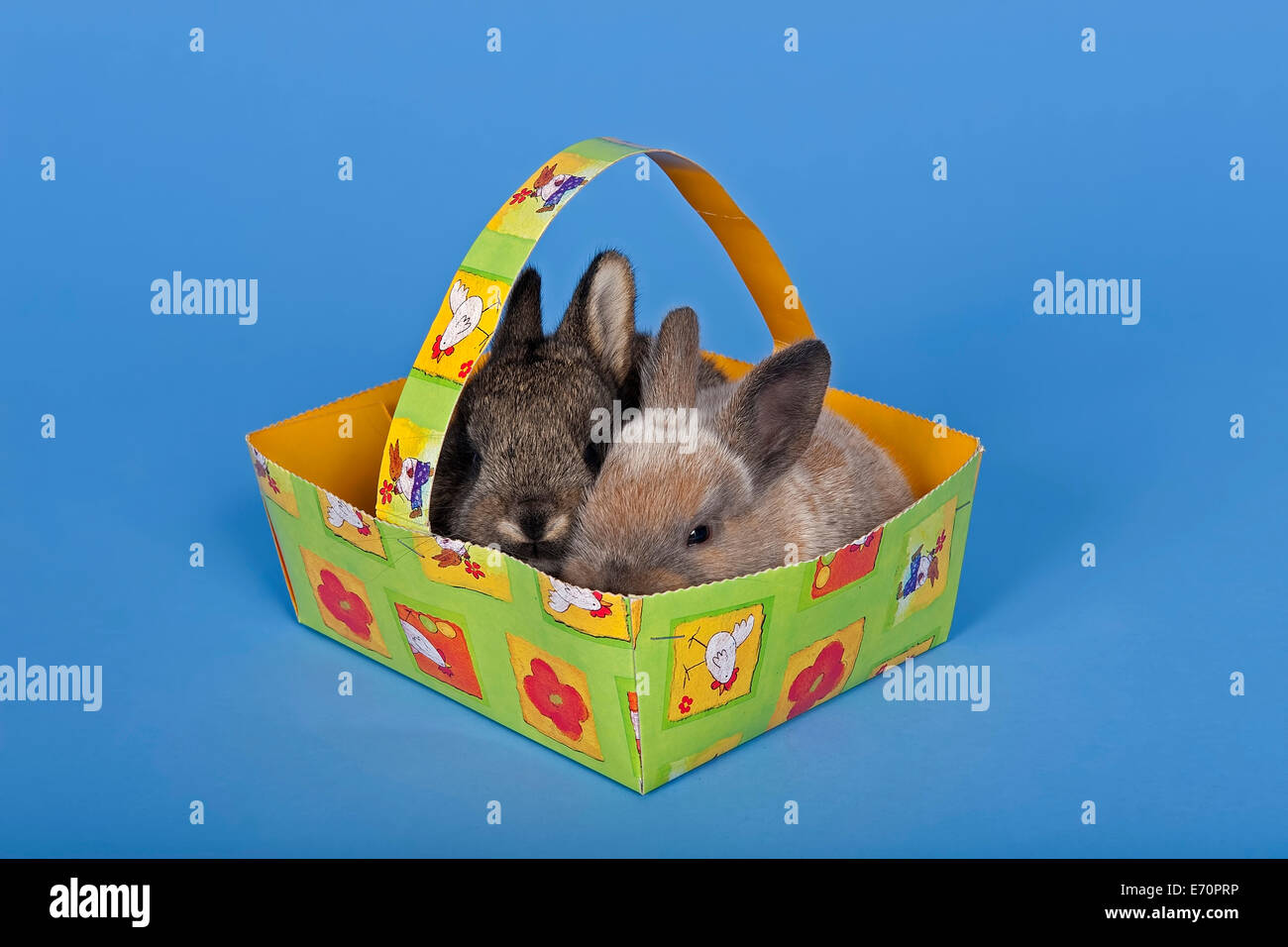 Zwei Kaninchen in einem Osternest Stockfoto