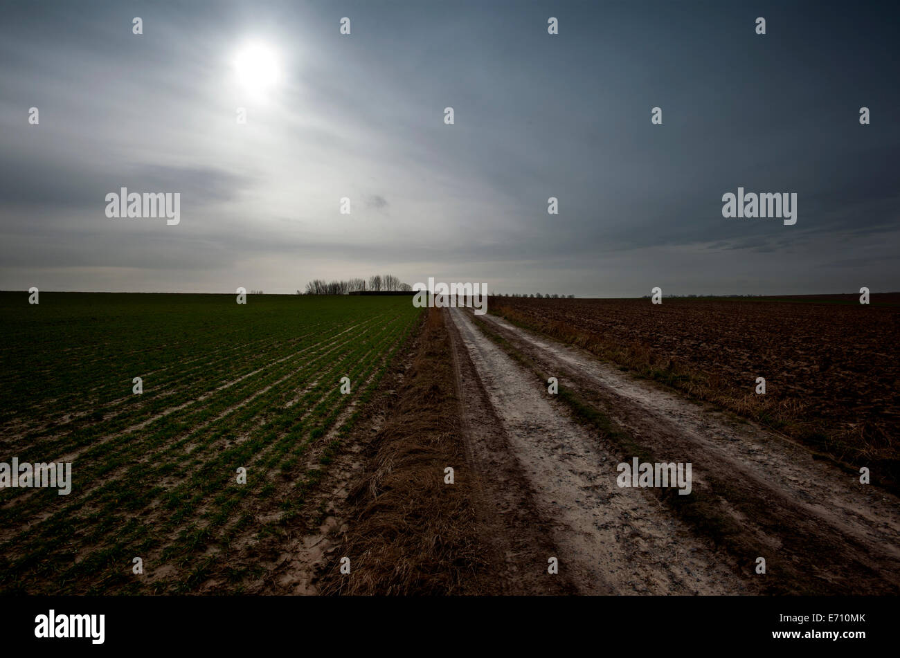 Somme WW1 Schlachtfeld, 1. Juli-November 1916, Frankreich. Auf der Suche nach Serre Straße Nr. 3 CWGC Friedhof aus Sheffield Memorial Park. Fe Stockfoto