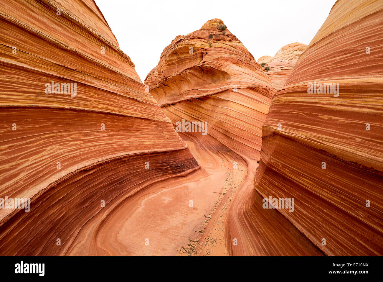 Sandstein-Wind-Erosion in der Welle Coyote Butte Arizona Stockfoto