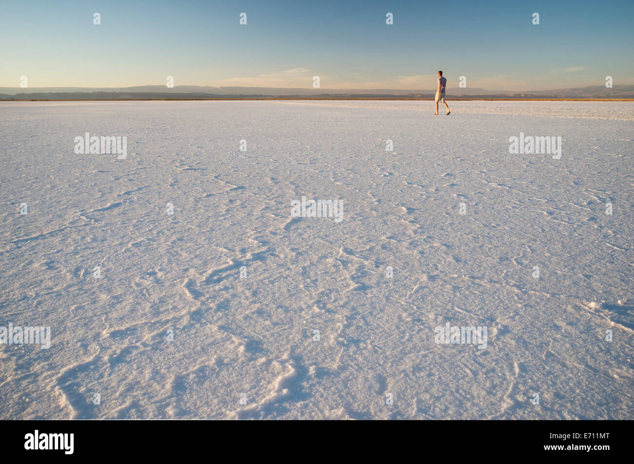 Mann zu Fuß, Laguna Salada, Salar de Atacama, El Norte Grande, Chile Stockfoto