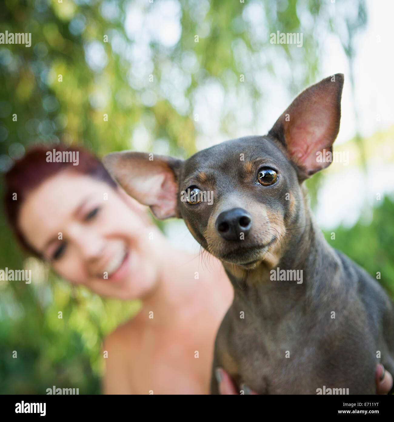 Eine Frau mit einem kleinen Hund. Stockfoto