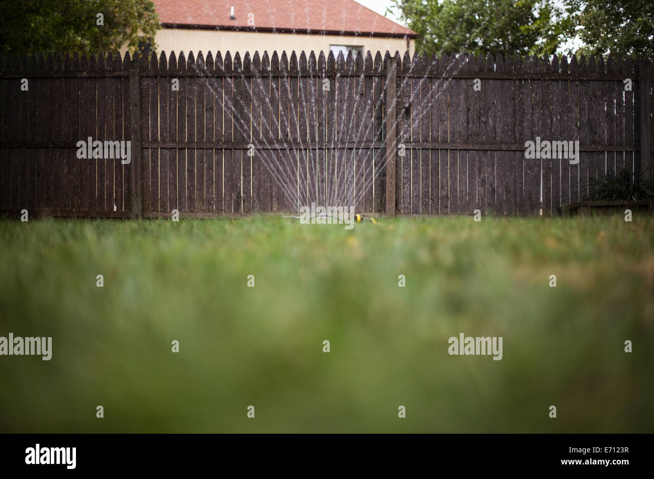 Regner-Bewässerung Garten Rasen Stockfoto