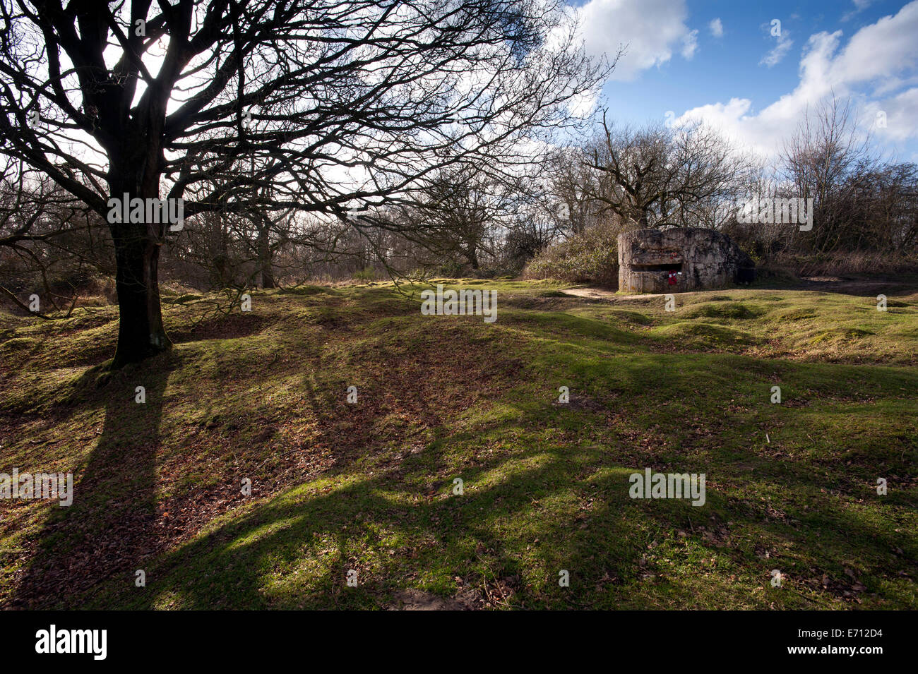 Ypern-Ieper WW1 Schlachtfeld, 1914-1918, Belgien. Hill 60, Ypern, Flandern, Belgien. Februar 2014 Hill 60 (60 Meter über dem Meer l Stockfoto