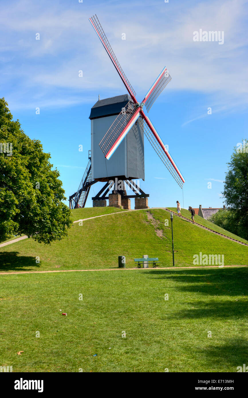 Belgien, Flandern, Westflandern, Brügge, alte Windmühle auf einem hang Stockfoto