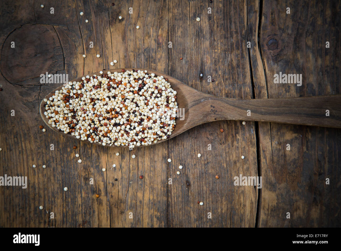 Bio-Quinoa, Chenopodium Quinoa, Tricolor, auf Holzlöffel Stockfoto
