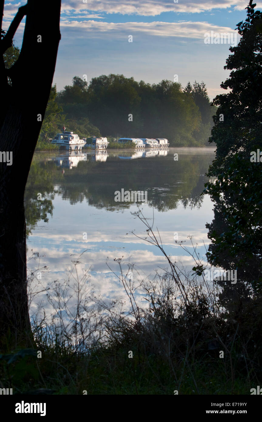 Vertäut Kreuzer Sportboote im Morgennebel Fluß Yare Norfolk Broads Stockfoto