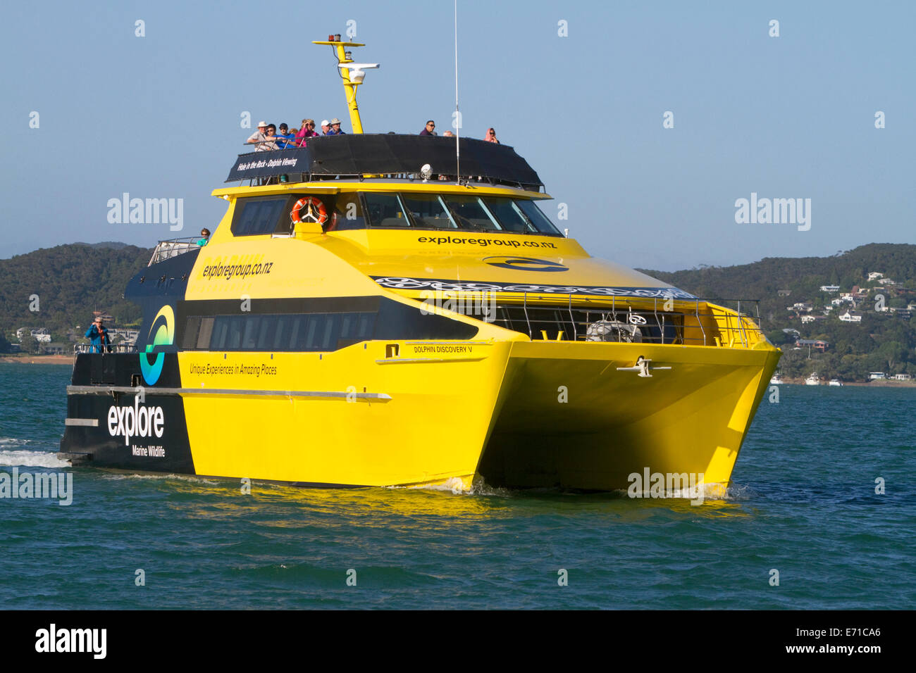 Ein Delphin anzeigen Ausflugsboot in der Bay of Islands, Nordinsel, Neuseeland. Stockfoto