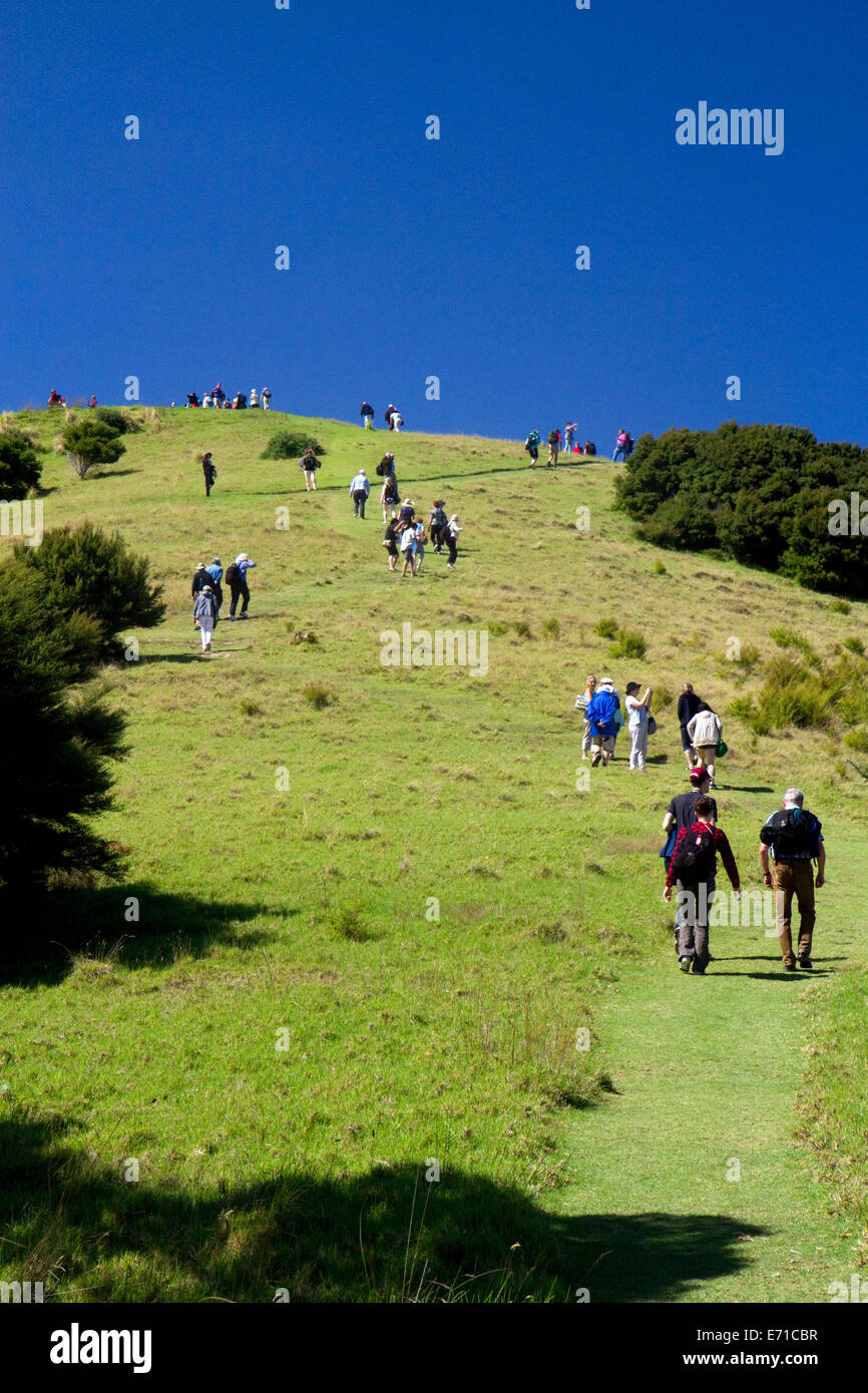 Touristen Wandern auf einer Insel in der Bay of Islands, Nordinsel, Neuseeland. Stockfoto