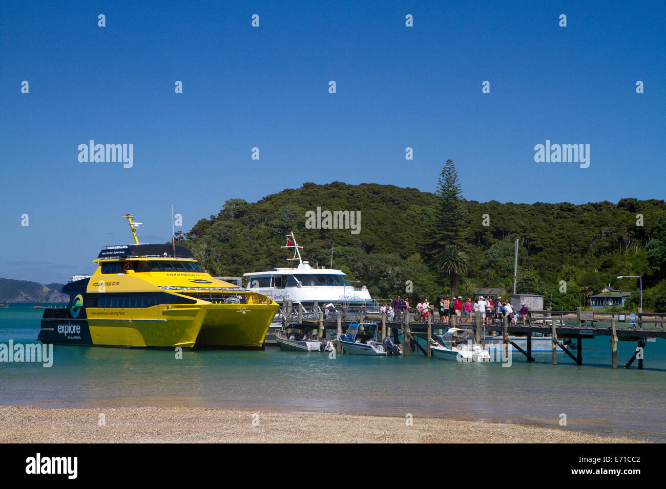 Ausflugsboote dock auf einer Insel in der Bay of Islands, Nordinsel, Neuseeland. Stockfoto