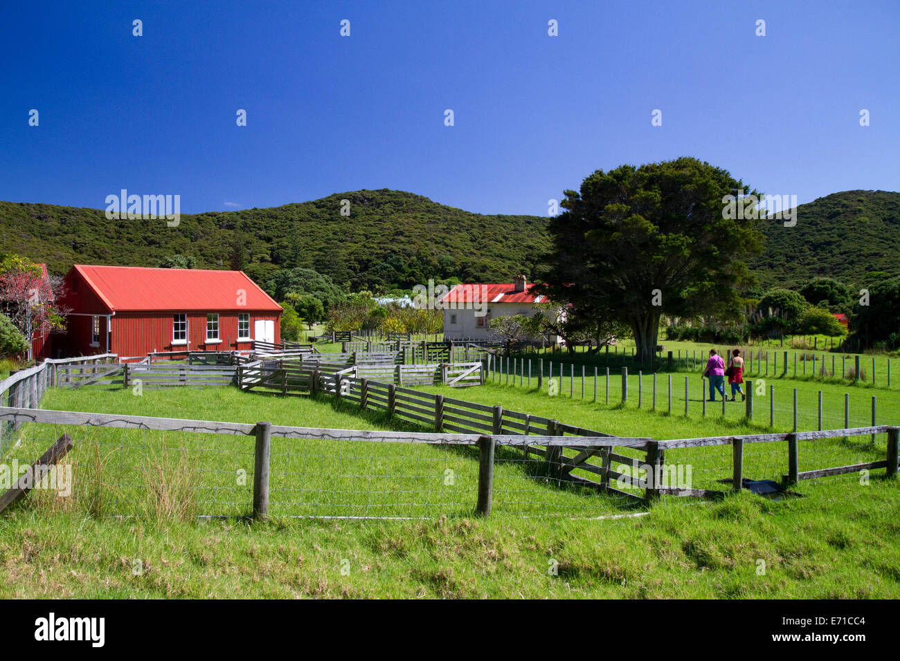 Altes Bauernhaus in der Bay of Islands in der Region Northland, Nordinsel, Neuseeland. Stockfoto