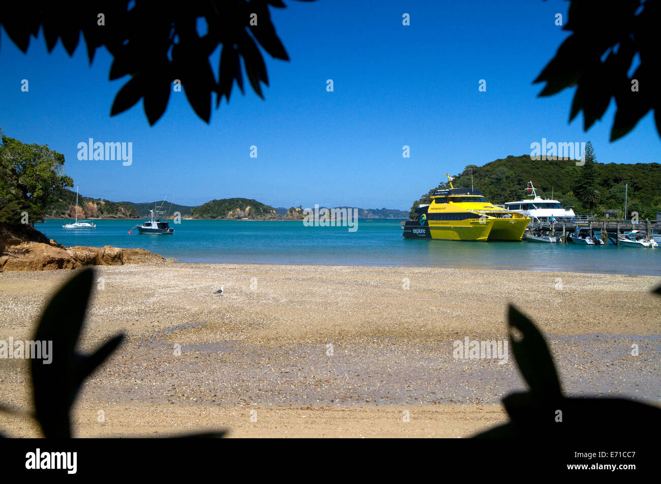 Ausflugsboote dock auf einer Insel in der Bay of Islands, Nordinsel, Neuseeland. Stockfoto