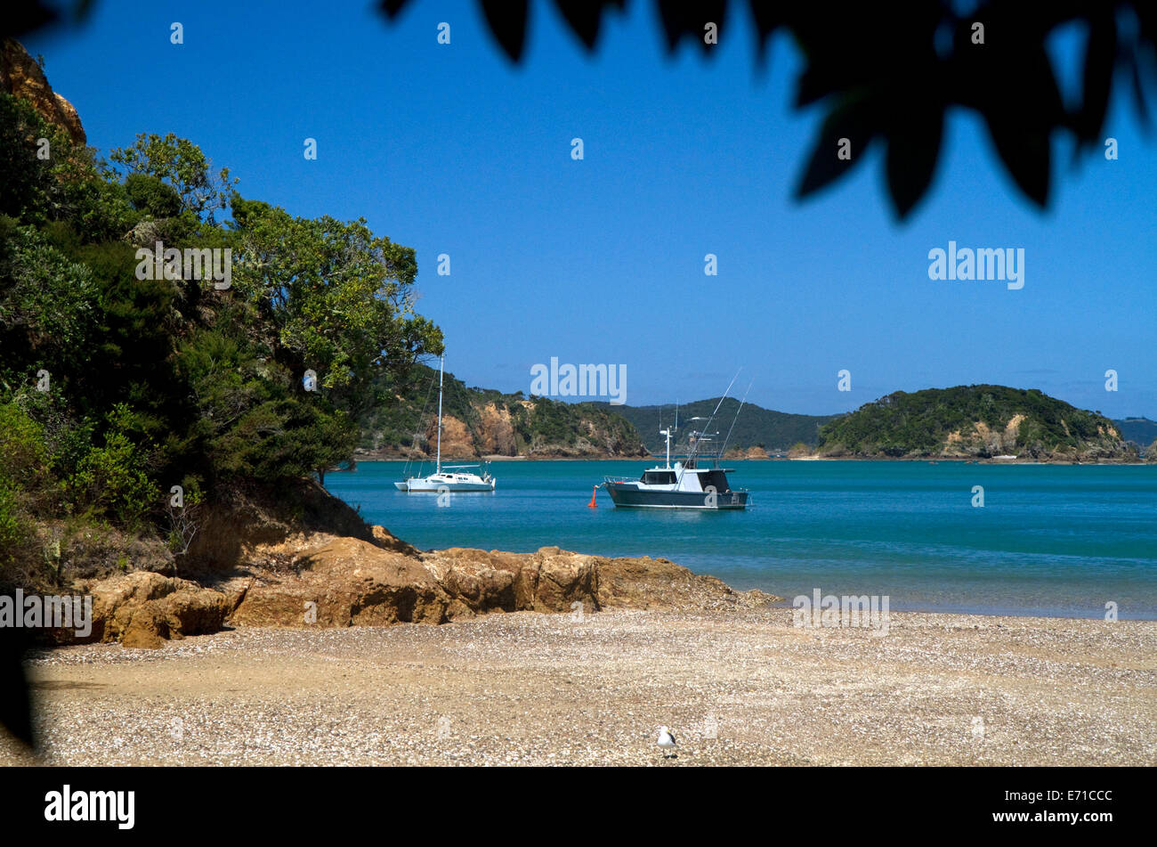 Ausflugsboote dock auf einer Insel in der Bay of Islands, Nordinsel, Neuseeland. Stockfoto