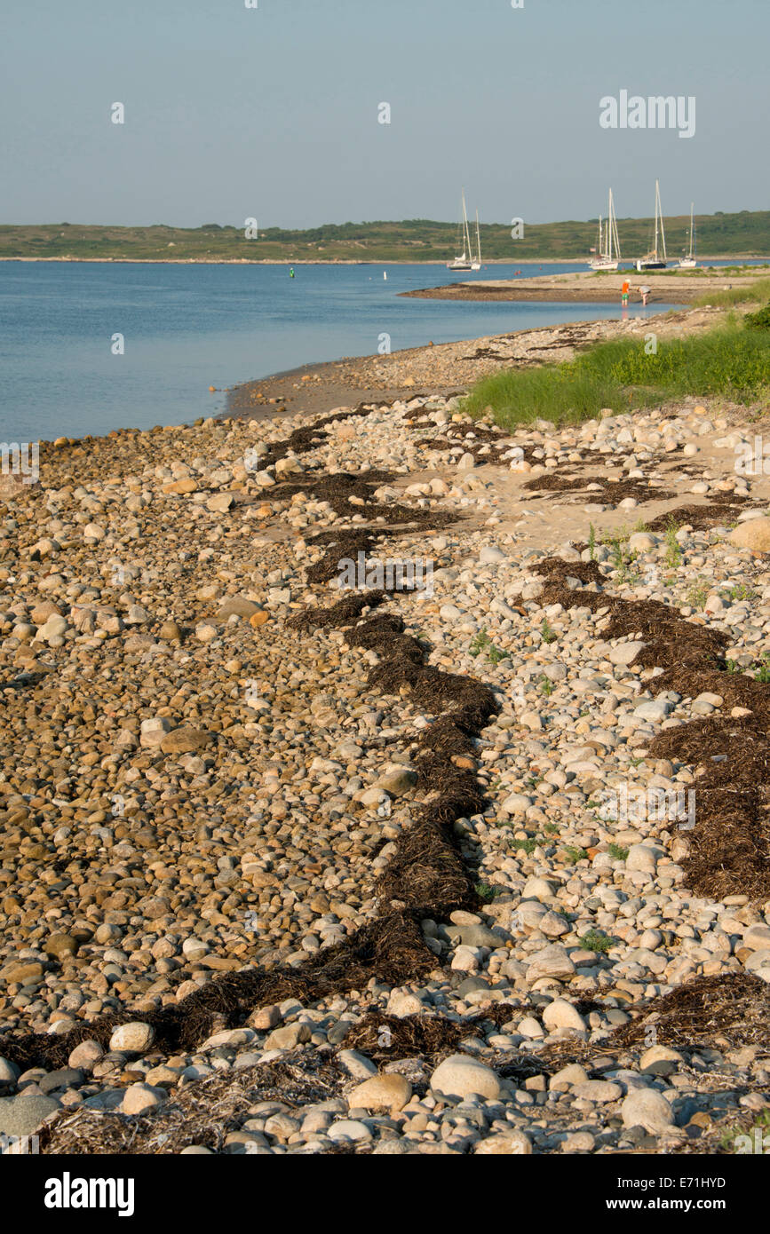 USA, Massachusetts, Elizabeth Islands, Cuttyhunk Island Gosnold. Felsige Küste von Chttyhunk. Stockfoto