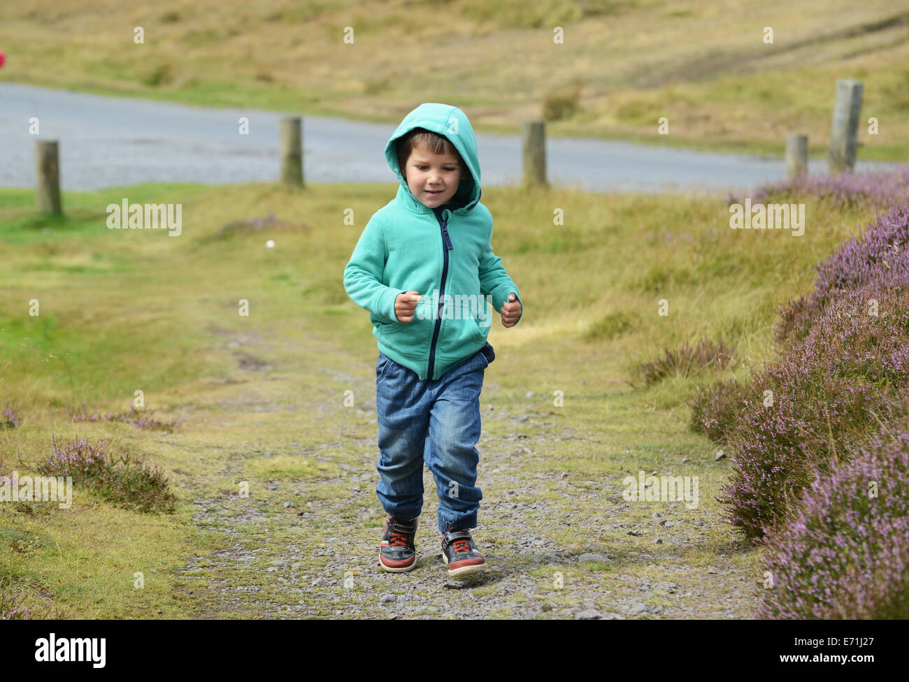 Kleiner junge Kind allein zu Fuß in ländlichen Landschaft Bereich uk Stockfoto